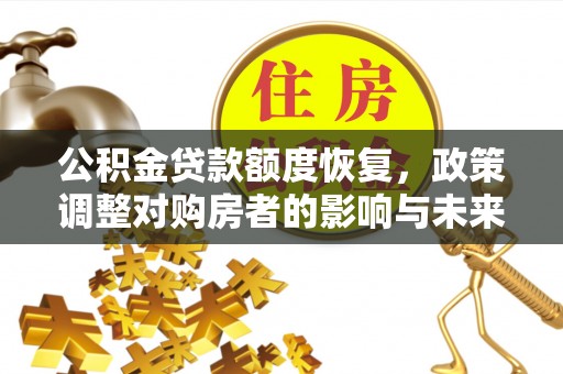 永丰公积金贷款额度恢复，政策调整对购房者的影响与未来展望