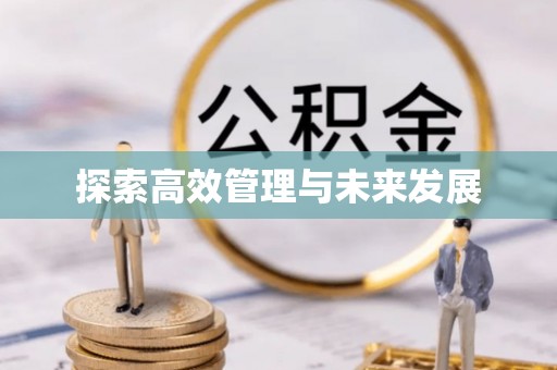 永丰探索高效管理与未来发展