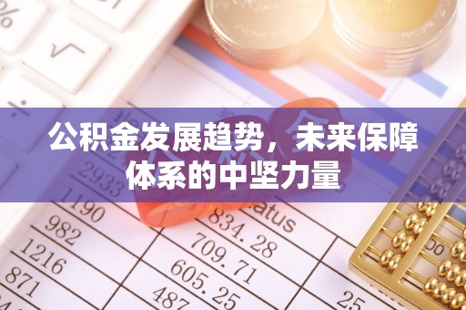 永丰公积金发展趋势，未来保障体系的中坚力量