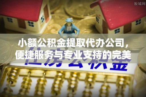 永丰小额公积金提取代办公司，便捷服务与专业支持的完美结合