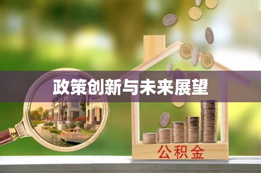 永丰政策创新与未来展望